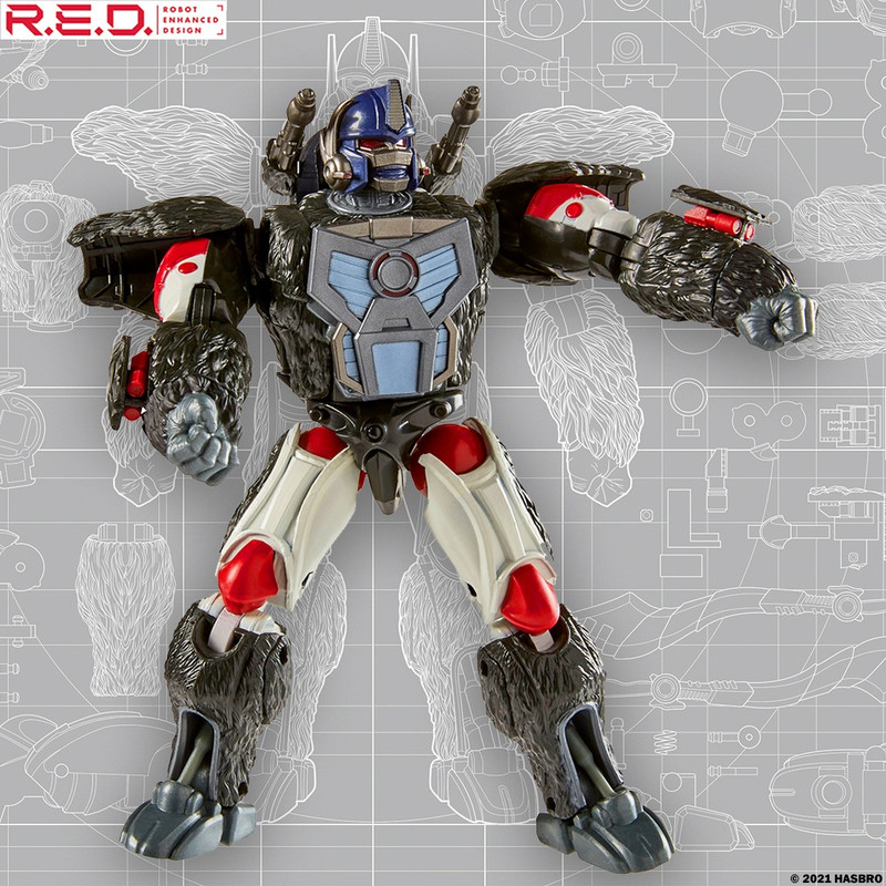 223253620_4624522927580612_8253924728473562251_n