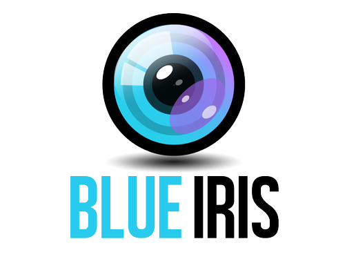 Blue Iris 5.4.6.3 (x64)