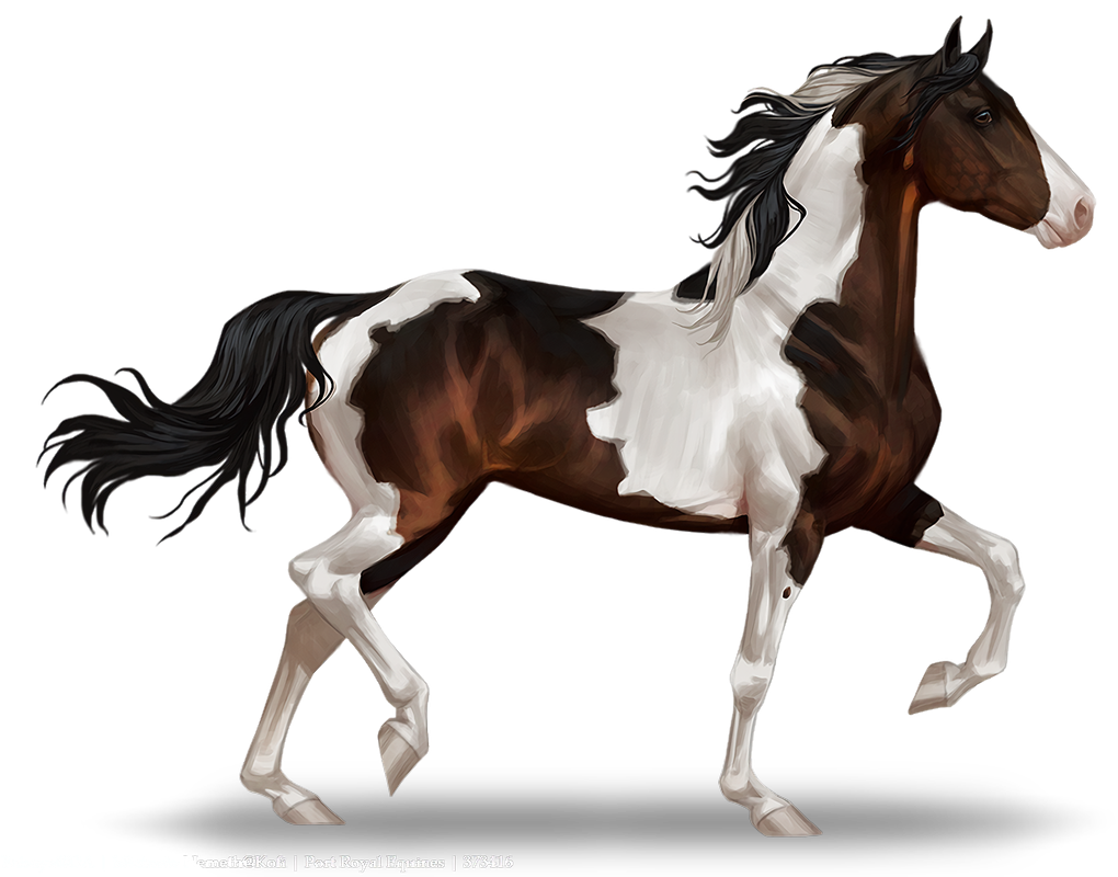 Untitled234_20250323185834