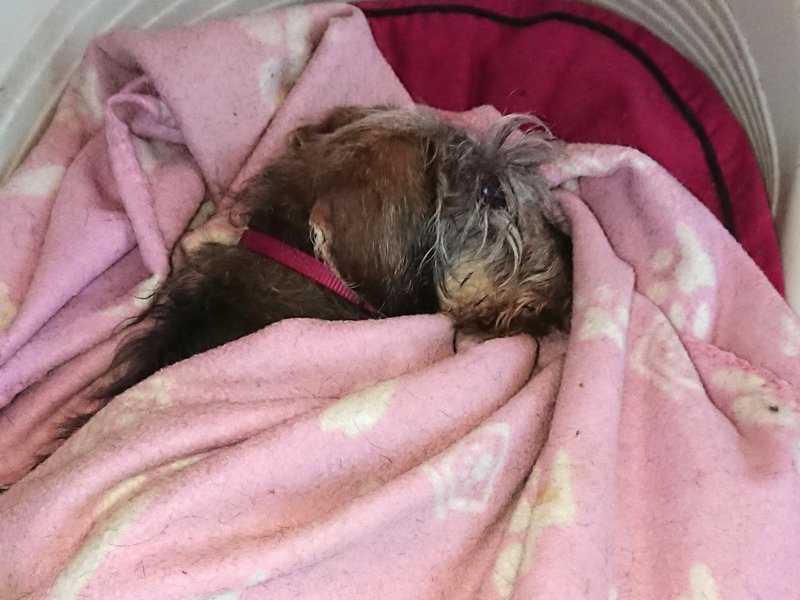 [Image: DSC-3186.jpg]