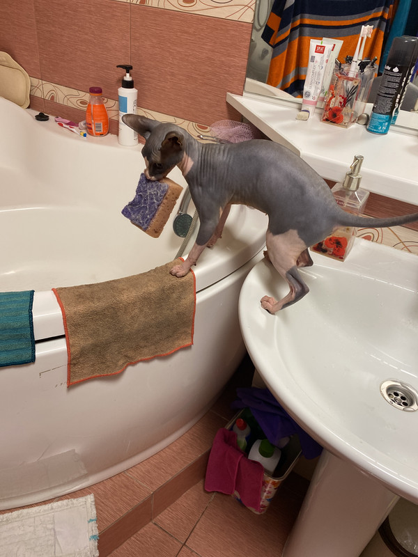 901374B8-156F-4C73-903B-4D572EFDAC64