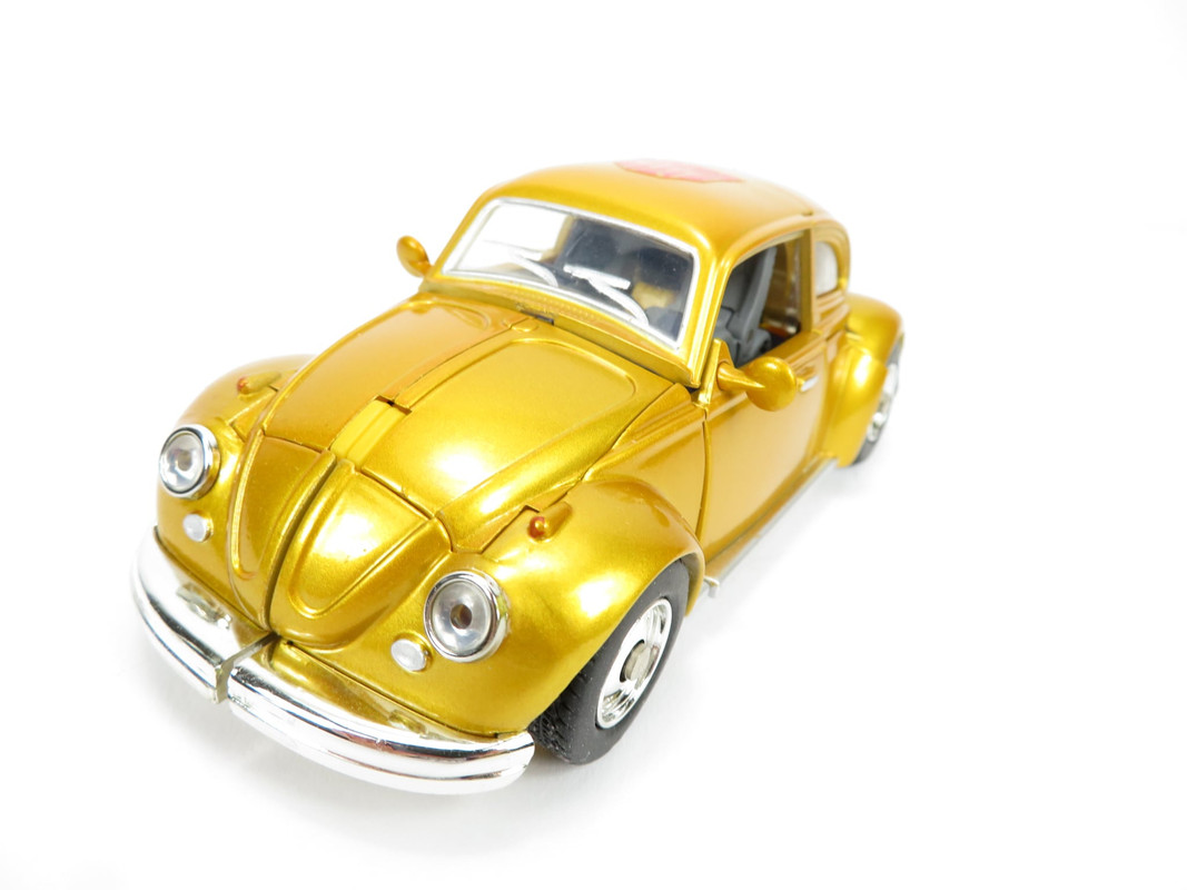 120595392_4123539924327202_3613700218431404148_o