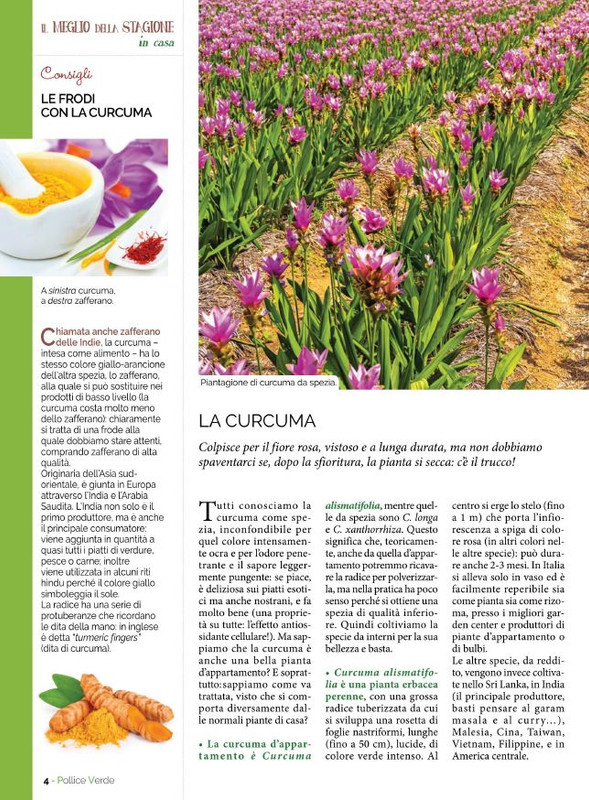 Pol Ver Set 2021 (1)