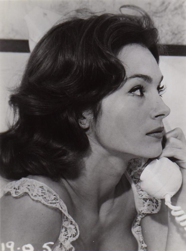 shirley_ann_field_a75