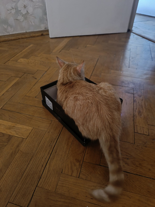 IMG 6f0303f4acc6627f56d3b5a3a5c6a703 V