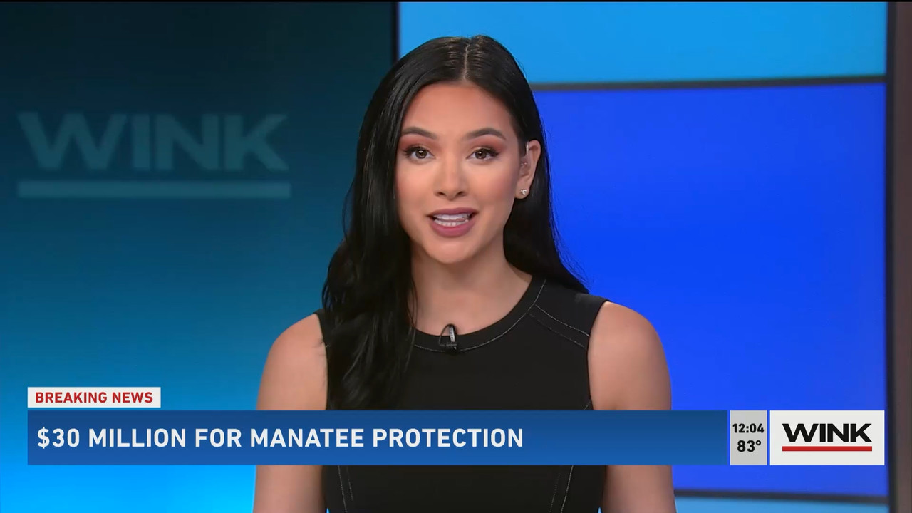 The WINK Noon News 2022_05_02_17_00_00.ts_snapshot_10.56.225