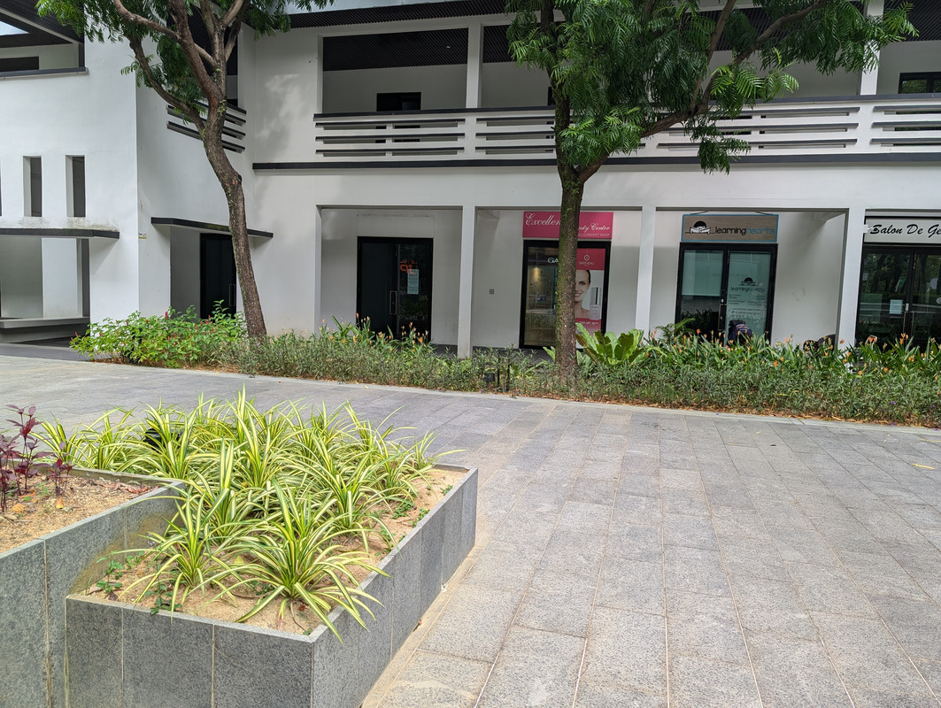 PXL-20240807-083008966.jpg