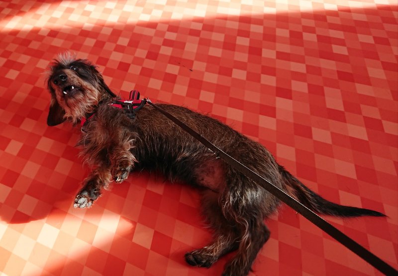 [Image: 20240320-124256.jpg]