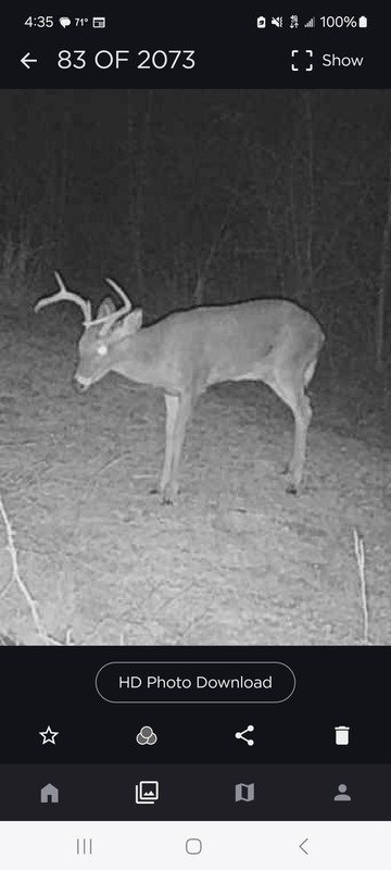 Screenshot_20250205_163534