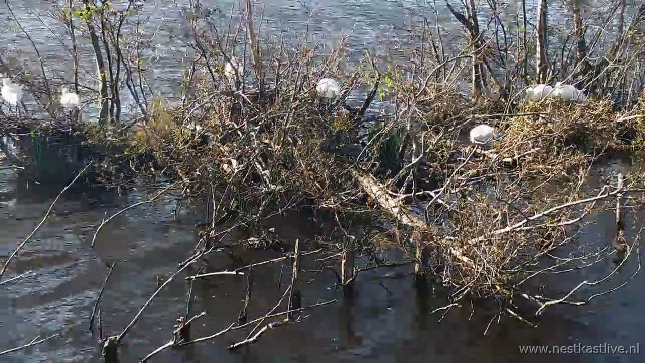 snapshot 2026 04 05T164729 634