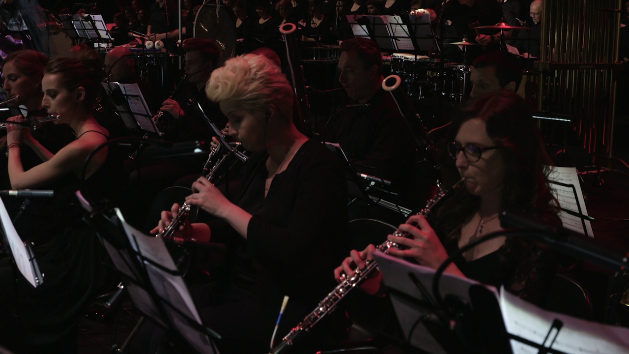 vlcsnap-2023-01-11-19h39m12s535