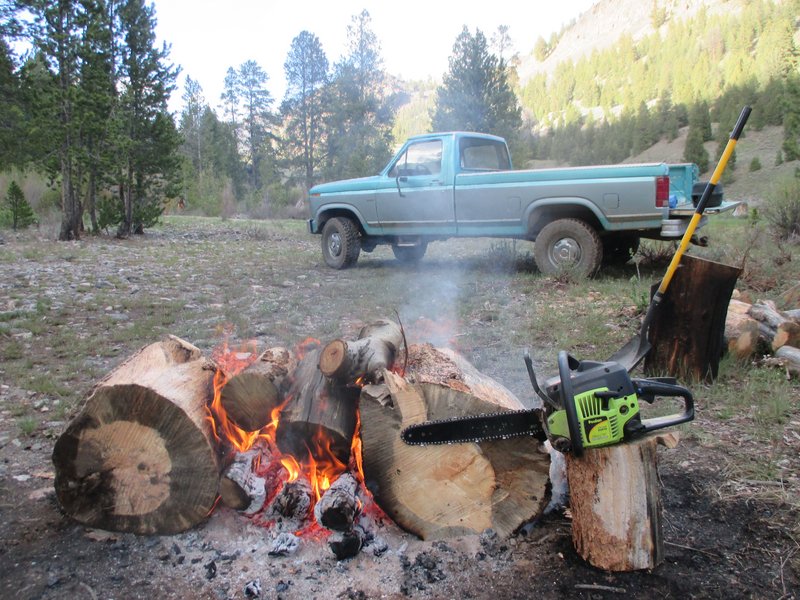Reciprocating saw for sale firewood