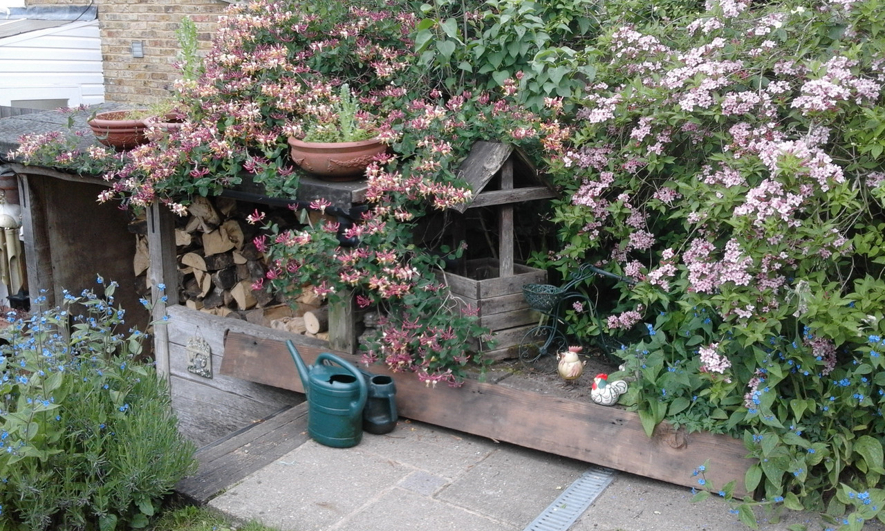 pic-for-Boo-of-messy-garden-036.jpg