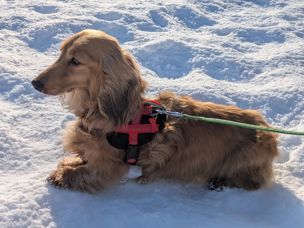 [Image: IMG-20250117-154803.jpg]