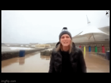 5733-D9-E1-1-C79-4684-9-A5-D-ACC096-C29-A3-E.gif