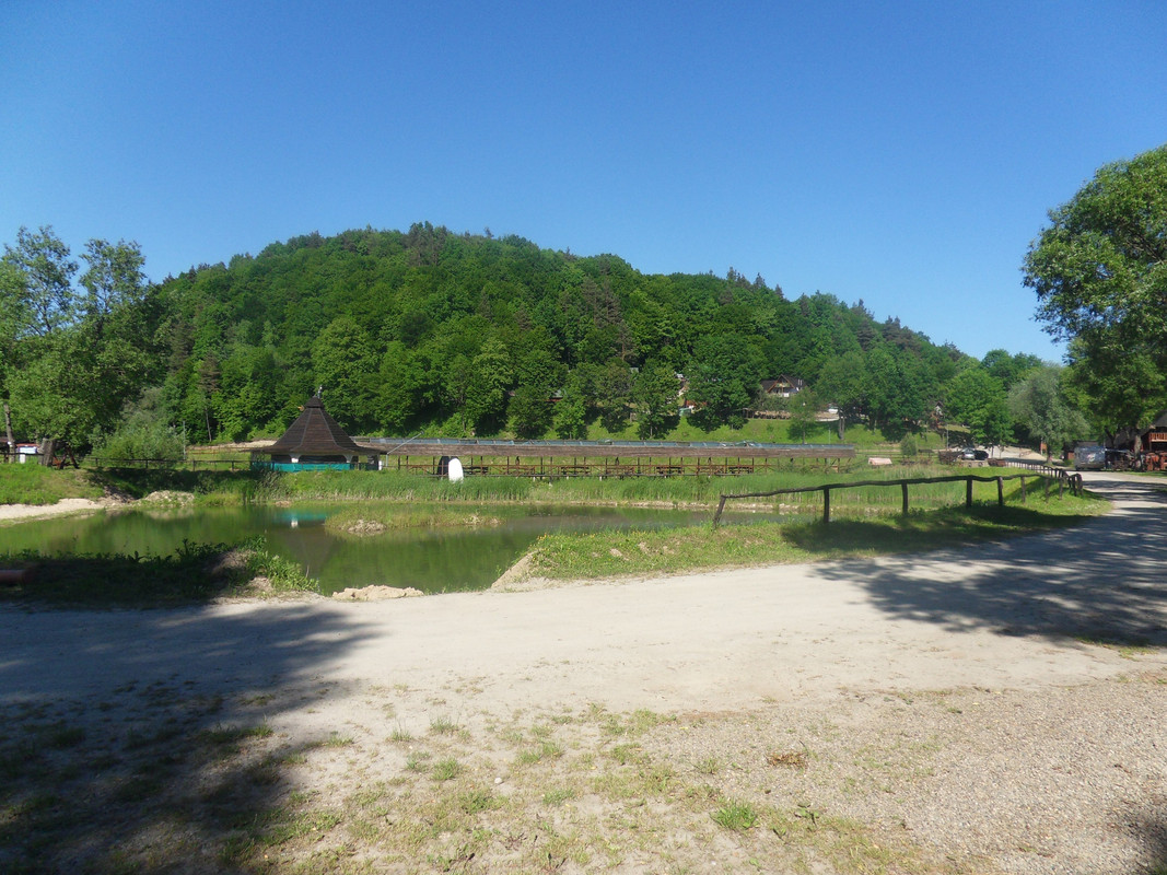 110 - SDC10041 (Hanka)