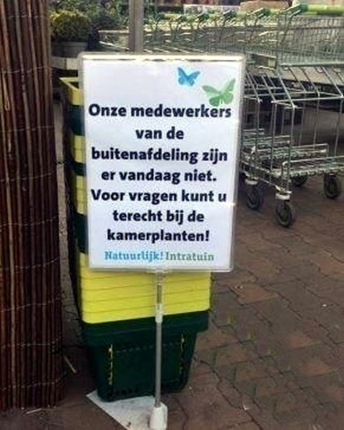 kamerplanten