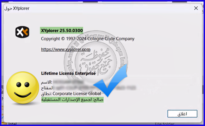 XYplorer 25.50.0300 Portable  