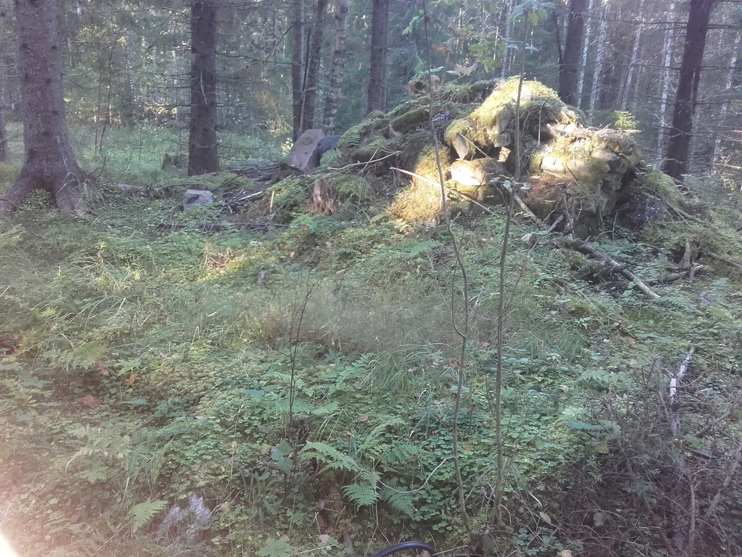 20160914_083315
