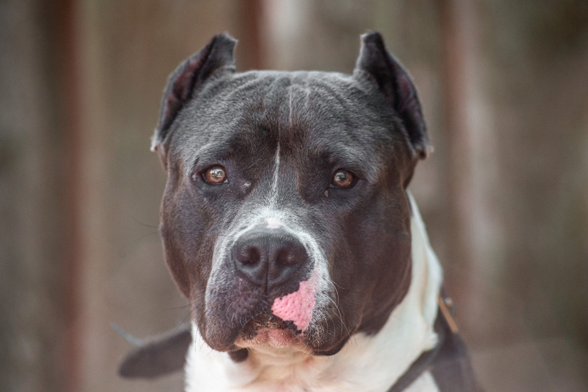 WhatsApp Image 2022-08-14 at 18.05.25 (1)