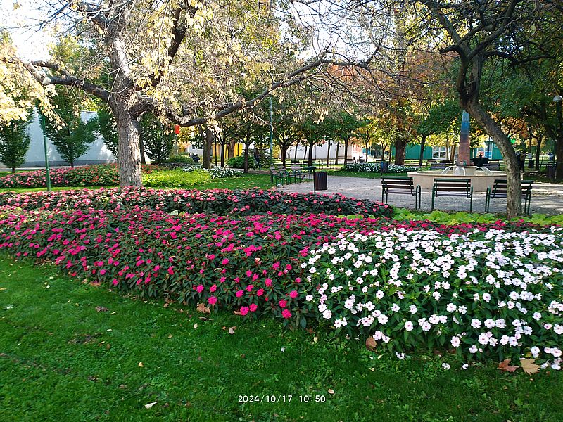 https://i.postimg.cc/Dzjfg8mx/bp-park-20241017.jpg