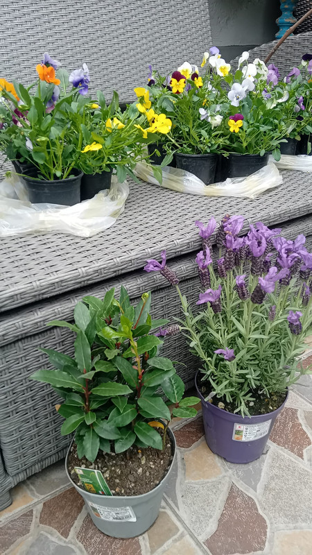 434666760_10228409243593563_2935325585838893575_n