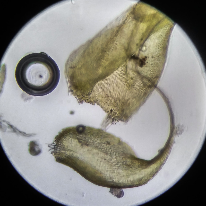 IMG 20250614 204848 HDR