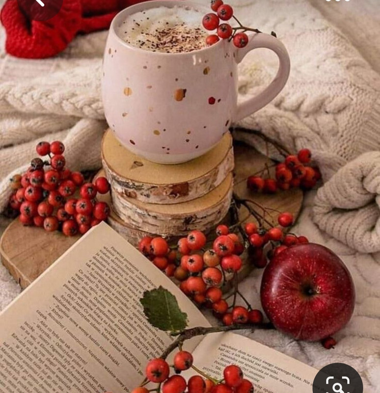 Screenshot_20230517_000429_Pinterest