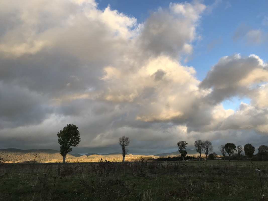 8743D1F4-290B-475A-9493-F1A71EB83527