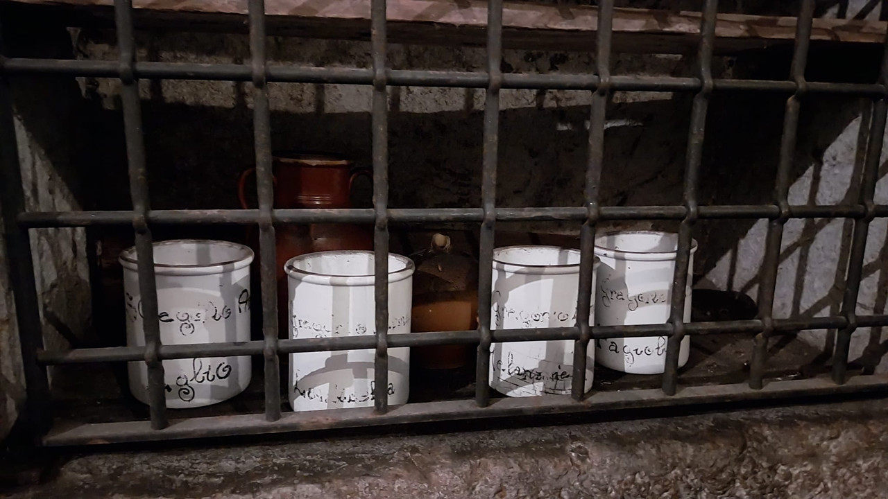 WhatsApp Image 2023-10-12 at 21.11.54 (1)