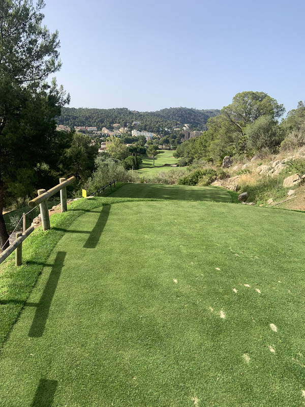 07FA84C9-E421-454F-8491-EA1023998E7B