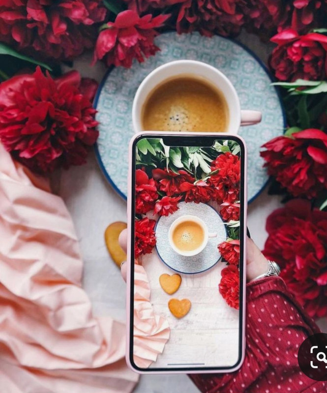 Screenshot_20230331_000125_Pinterest