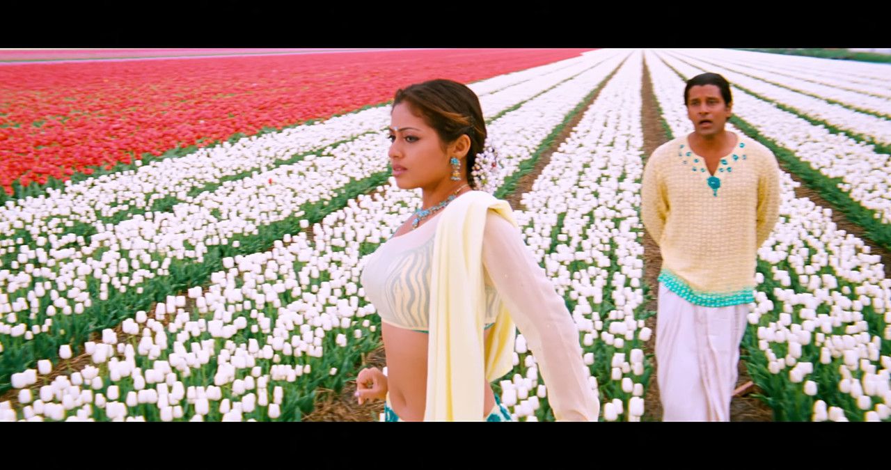 VideoCapture_20241122-195541