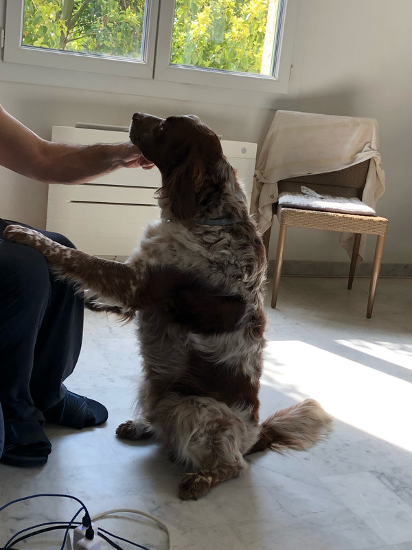 79AD96FF-3B0C-4A1C-9C9B-9609218F480C