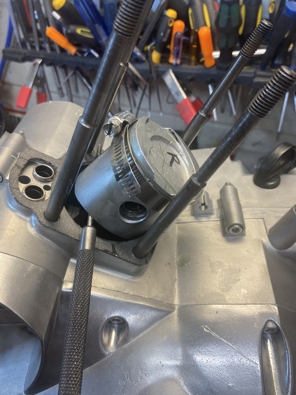 0C19D3D5-0119-43A1-8B1F-7096C0168E6B