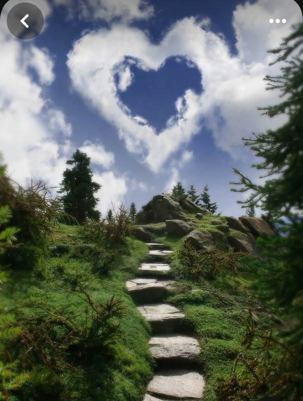 Screenshot_20240214_114006_Pinterest