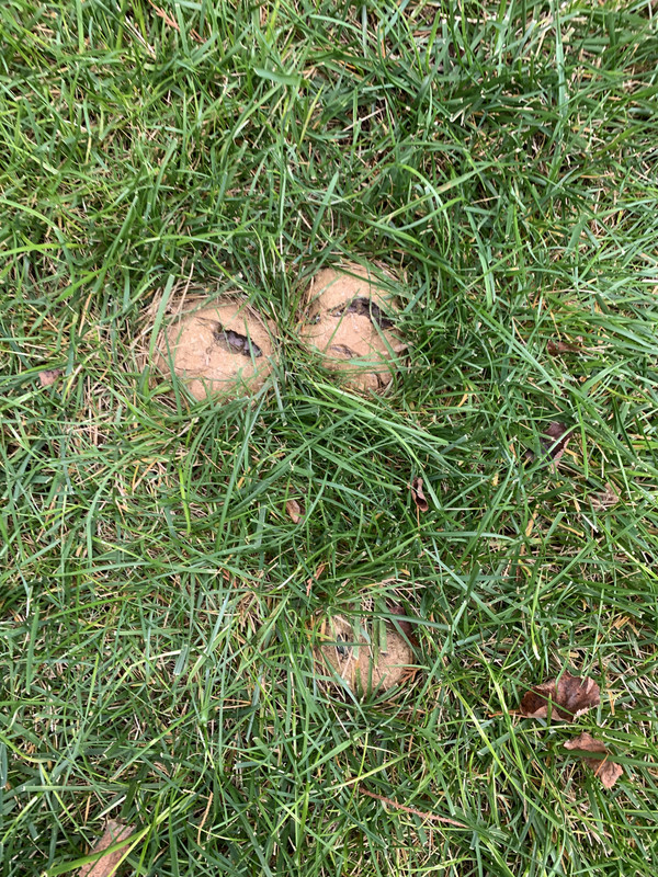 FCC7EE7E-7546-45BC-91BA-27F65E9EB77D