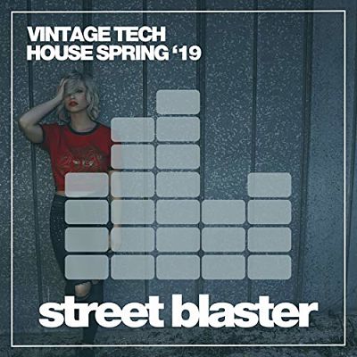 VA - Vintage Tech House Spring '19 (04/2019) VA-Vin-opt