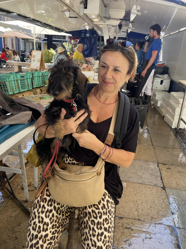 [Image: unnamed.jpg]