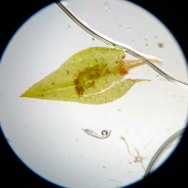 IMG 20250617 115342 HDR