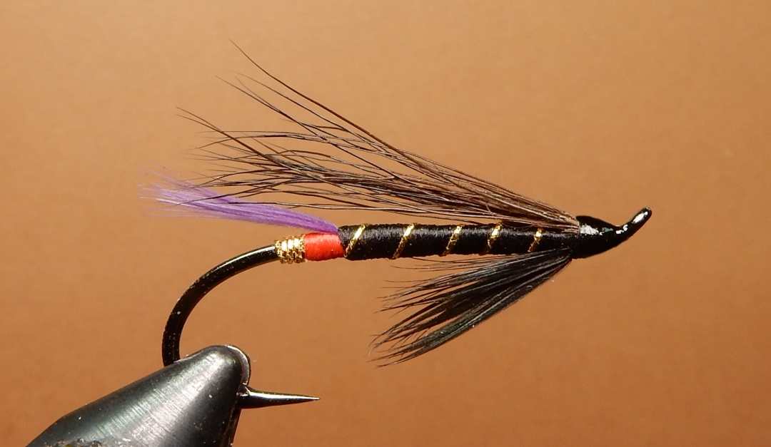 Allen-s-L-T-1080.jpg Allen-s-L-T-1080.jpg