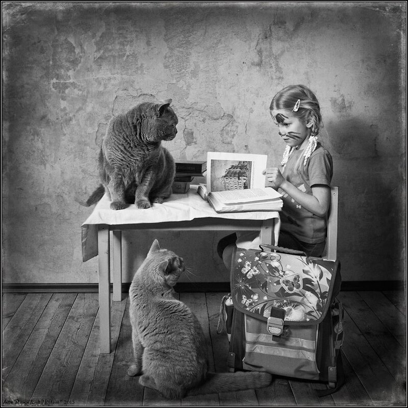 10451321-784230608309699-8633841647165648905-n