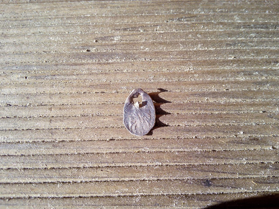 IMG_20180512_183124[1]