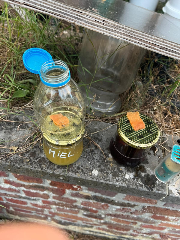 WhatsApp Image 2025-09-09 at 08.27.42(2)