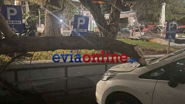 poikuy.jpg