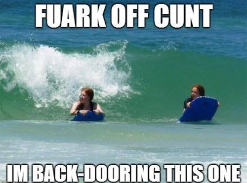 surfingmeme19