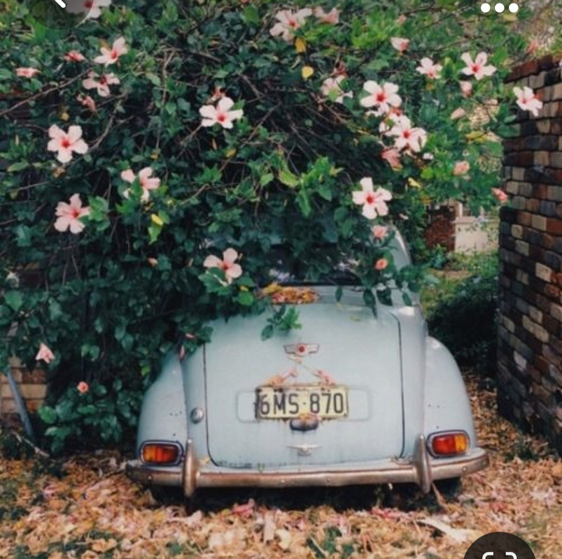 Screenshot_20231107_212229_Pinterest