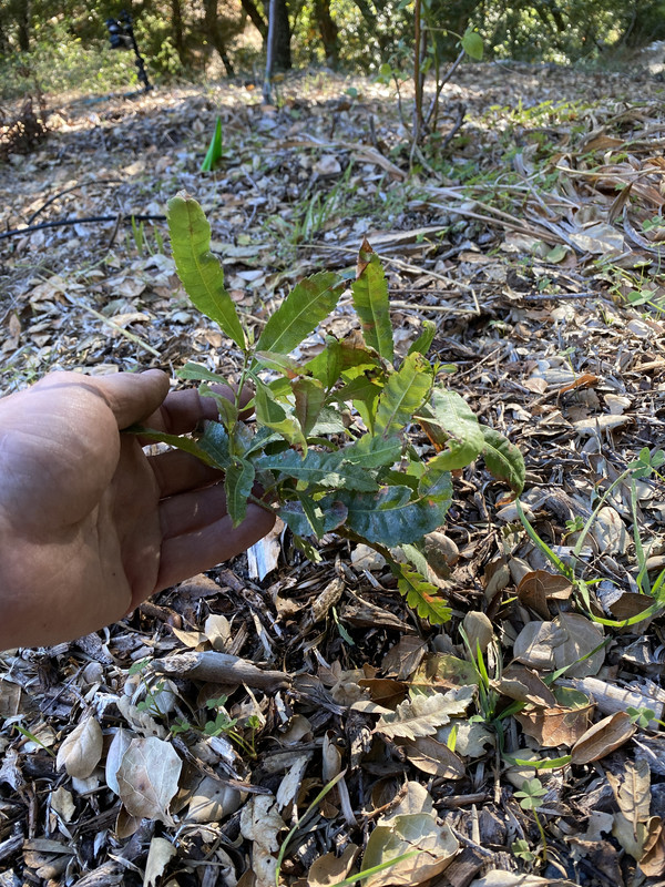 F6983008-857A-48C2-BF09-0863DAE6E9B5