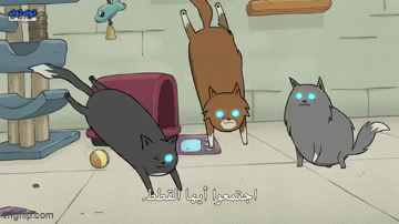 Exploding-Kittens-Voltron-Cat-S01E01.gif