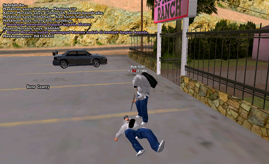 SS-13.png
